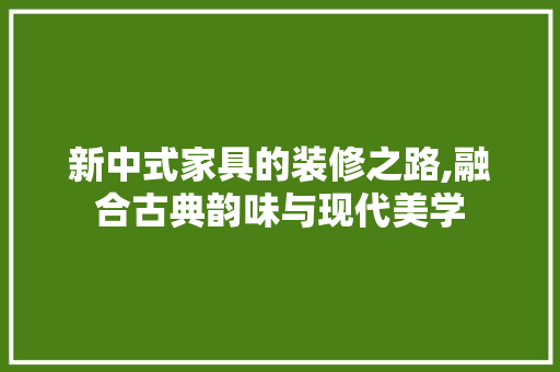 新中式家具的装修之路,融合古典韵味与现代美学
