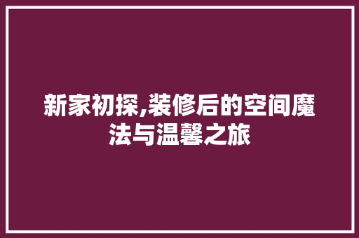 新家初探,装修后的空间魔法与温馨之旅