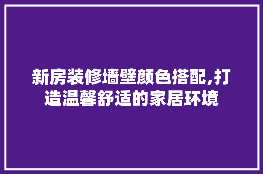 新房装修墙壁颜色搭配,打造温馨舒适的家居环境