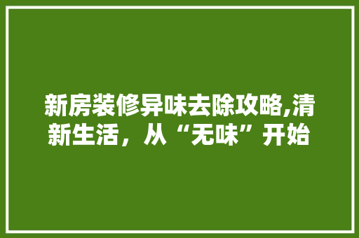 新房装修异味去除攻略,清新生活，从“无味”开始
