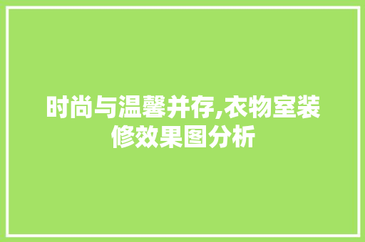 时尚与温馨并存,衣物室装修效果图分析