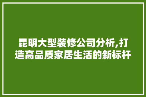 昆明大型装修公司分析,打造高品质家居生活的新标杆