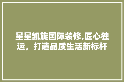 星星凯旋国际装修,匠心独运，打造品质生活新标杆