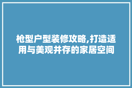 枪型户型装修攻略,打造适用与美观并存的家居空间