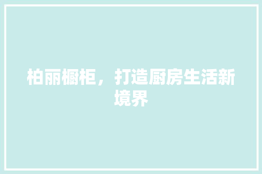 柏丽橱柜，打造厨房生活新境界