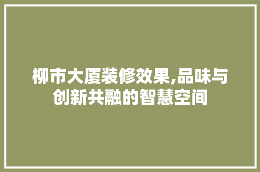 柳市大厦装修效果,品味与创新共融的智慧空间