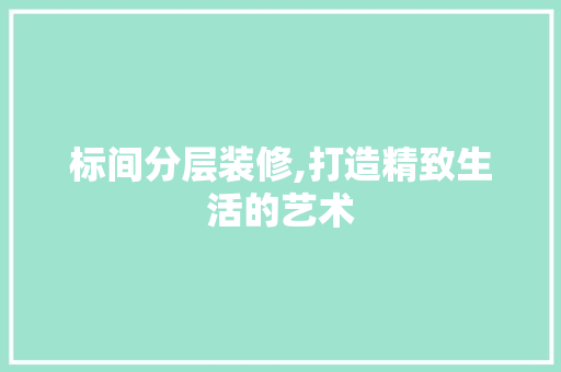 标间分层装修,打造精致生活的艺术