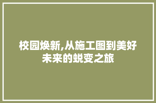 校园焕新,从施工图到美好未来的蜕变之旅