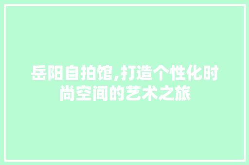 岳阳自拍馆,打造个性化时尚空间的艺术之旅