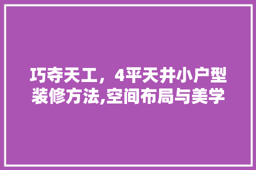 巧夺天工，4平天井小户型装修方法,空间布局与美学融合的艺术
