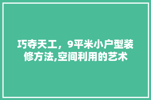 巧夺天工，9平米小户型装修方法,空间利用的艺术