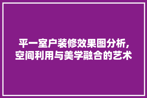 平一室户装修效果图分析,空间利用与美学融合的艺术之旅