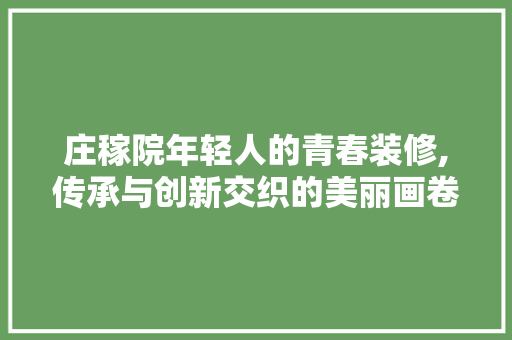 庄稼院年轻人的青春装修,传承与创新交织的美丽画卷