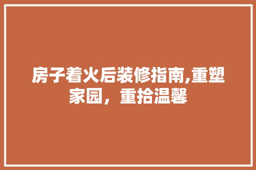 房子着火后装修指南,重塑家园，重拾温馨