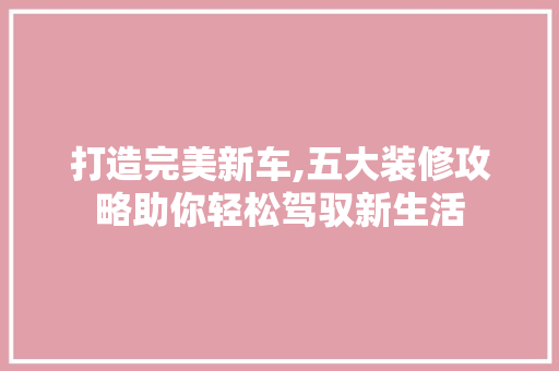 打造完美新车,五大装修攻略助你轻松驾驭新生活