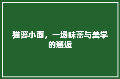 猫婆小面，一场味蕾与美学的邂逅
