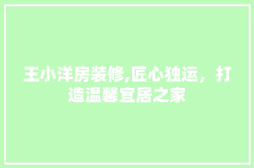 王小洋房装修,匠心独运，打造温馨宜居之家