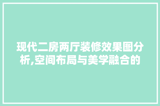 现代二房两厅装修效果图分析,空间布局与美学融合的艺术展现