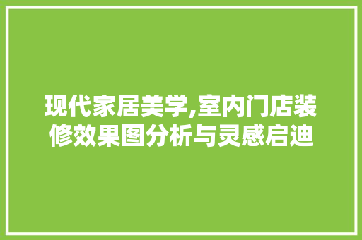 现代家居美学,室内门店装修效果图分析与灵感启迪