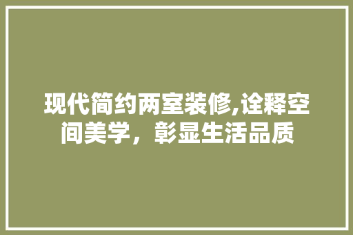 现代简约两室装修,诠释空间美学，彰显生活品质
