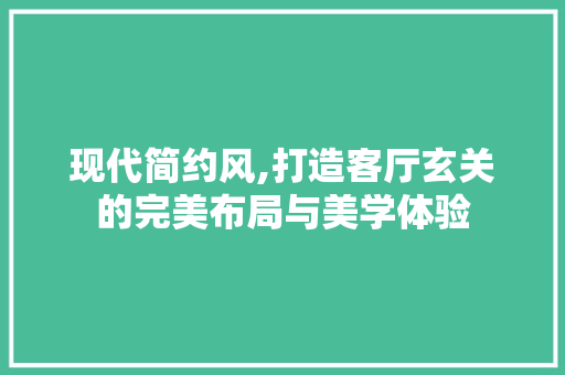 现代简约风,打造客厅玄关的完美布局与美学体验
