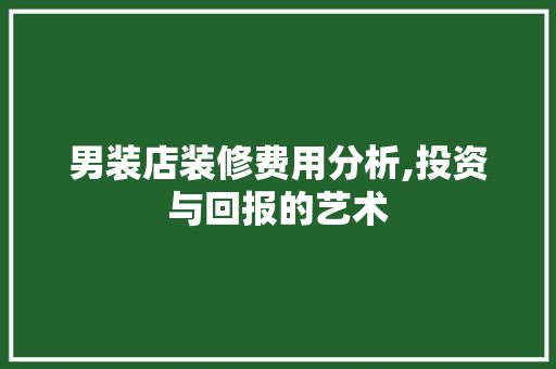 男装店装修费用分析,投资与回报的艺术