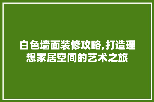 白色墙面装修攻略,打造理想家居空间的艺术之旅