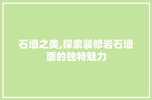 石墙之美,探索装修岩石墙面的独特魅力