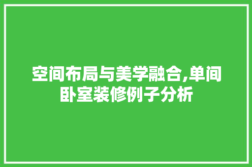 空间布局与美学融合,单间卧室装修例子分析