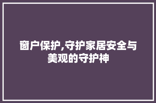 窗户保护,守护家居安全与美观的守护神