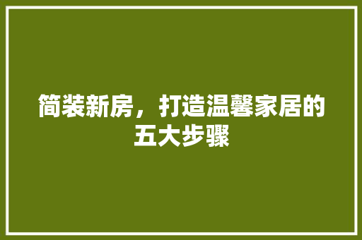 简装新房，打造温馨家居的五大步骤