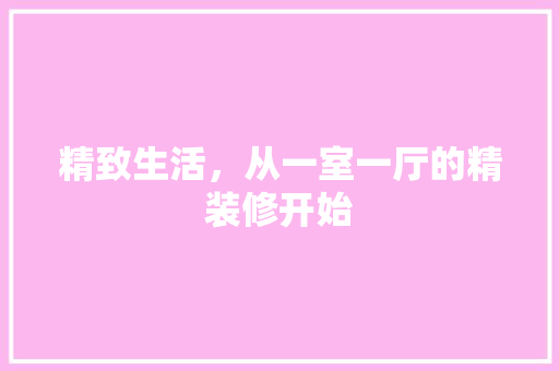 精致生活，从一室一厅的精装修开始