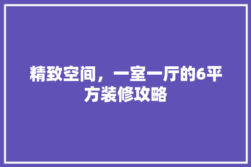 精致空间，一室一厅的6平方装修攻略