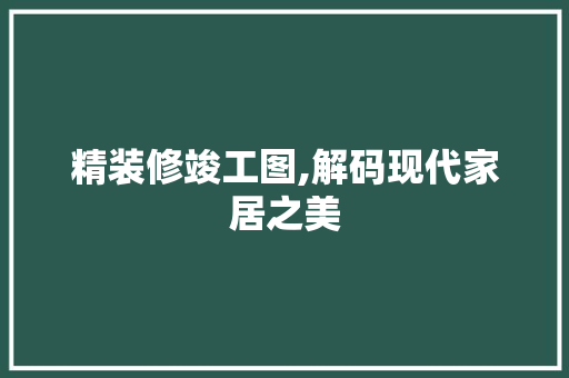 精装修竣工图,解码现代家居之美