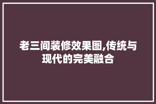 老三间装修效果图,传统与现代的完美融合