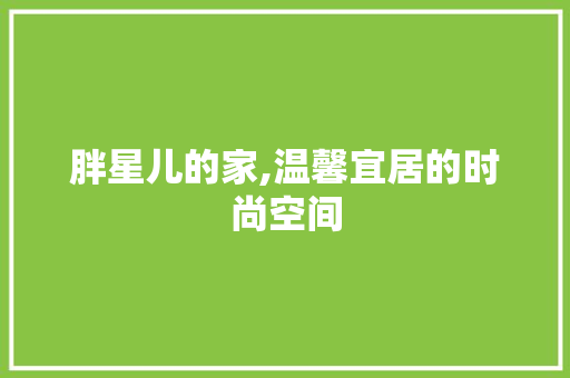 胖星儿的家,温馨宜居的时尚空间