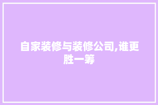 自家装修与装修公司,谁更胜一筹