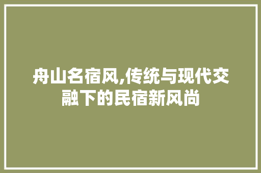 舟山名宿风,传统与现代交融下的民宿新风尚
