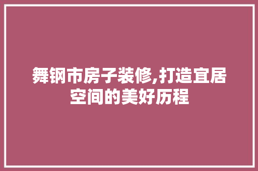 舞钢市房子装修,打造宜居空间的美好历程