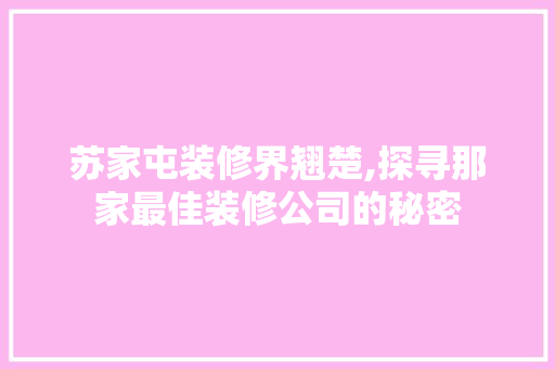 苏家屯装修界翘楚,探寻那家最佳装修公司的秘密