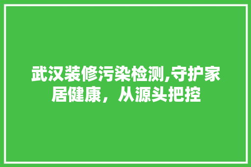 武汉装修污染检测,守护家居健康，从源头把控