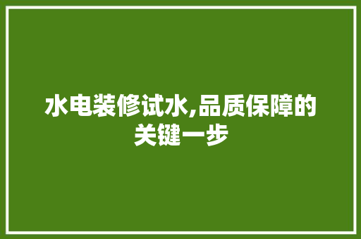 水电装修试水,品质保障的关键一步
