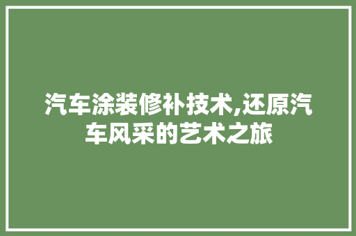 汽车涂装修补技术,还原汽车风采的艺术之旅