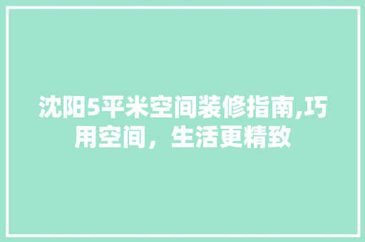 沈阳5平米空间装修指南,巧用空间，生活更精致