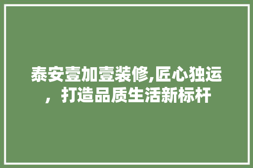 泰安壹加壹装修,匠心独运，打造品质生活新标杆