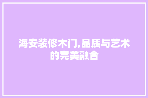 海安装修木门,品质与艺术的完美融合