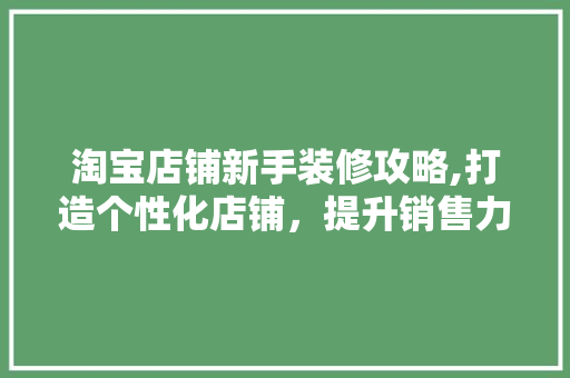 淘宝店铺新手装修攻略,打造个性化店铺，提升销售力！