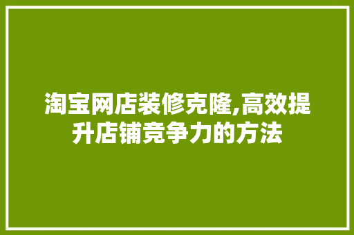 淘宝网店装修克隆,高效提升店铺竞争力的方法