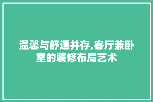 温馨与舒适并存,客厅兼卧室的装修布局艺术