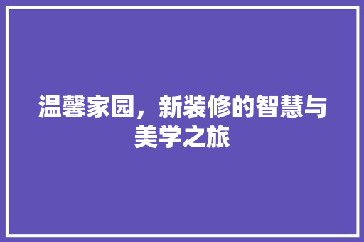 温馨家园，新装修的智慧与美学之旅